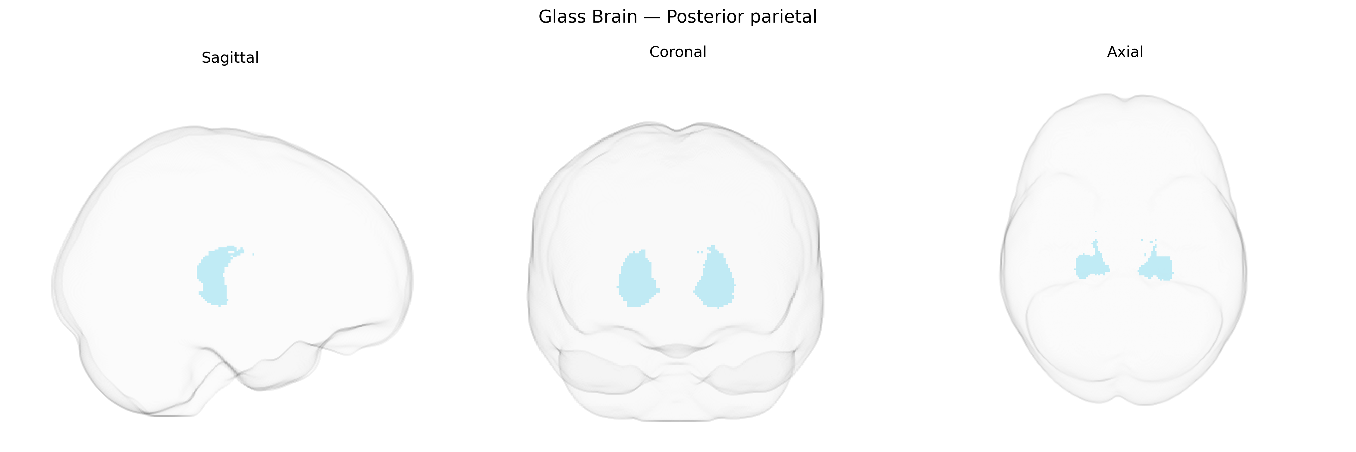 Triplanar Ghost Brain
